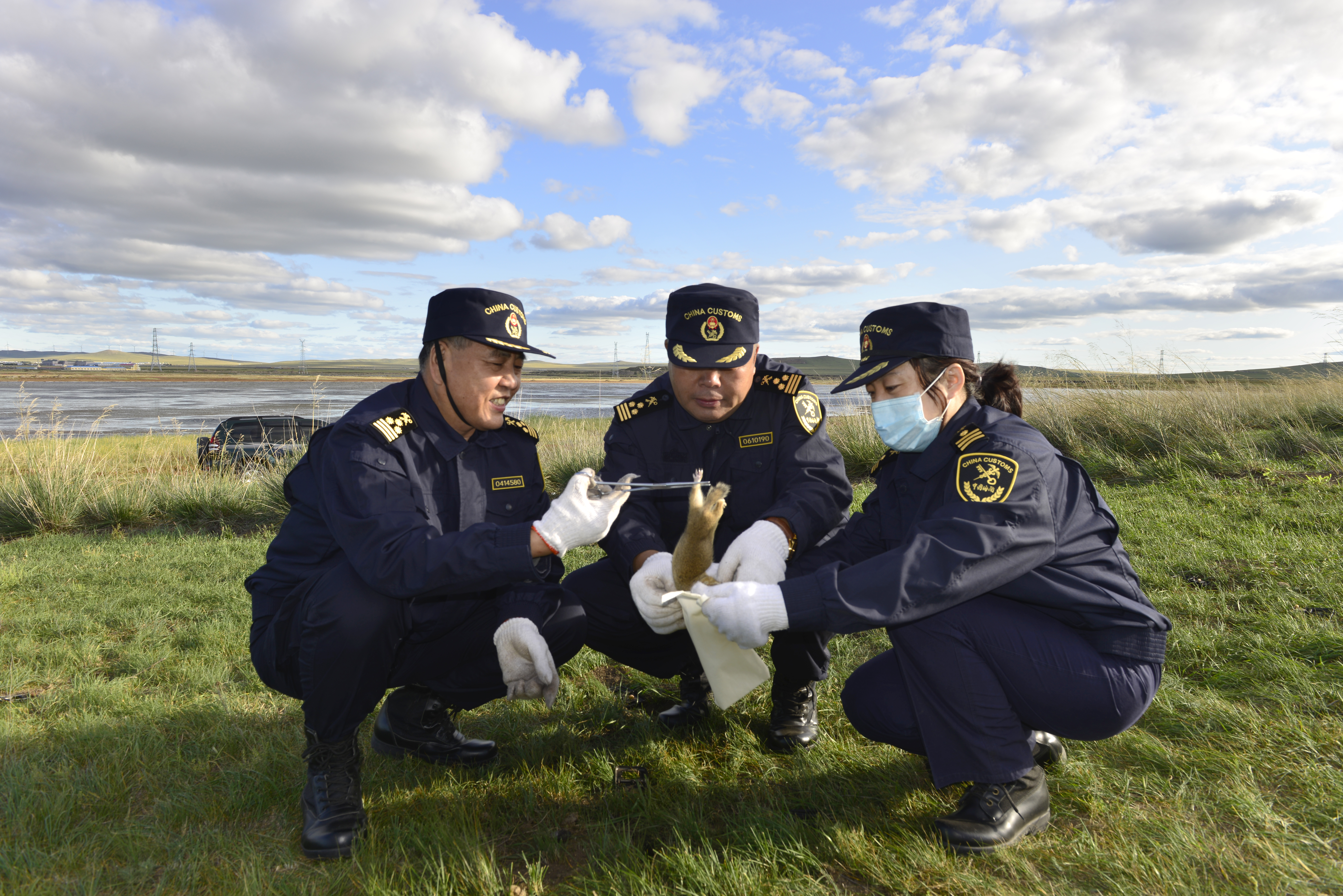图为：病媒生物监测组捕获鼠类场景（韩宗江 摄）.JPG